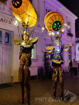 Foto des Albums: Herbstleuchten 2024 - die letzte heiße Sommernacht
