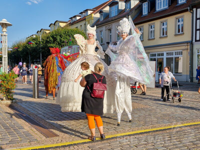 Foto des Albums: Herbstleuchten 2024 - die letzte heiße Sommernacht