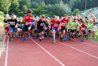 Foto des Albums: Flutlichtlauf 2024 (07. 09. 2024)