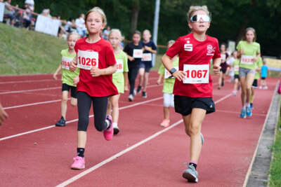 Foto des Albums: Flutlichtlauf 2024 (07. 09. 2024)