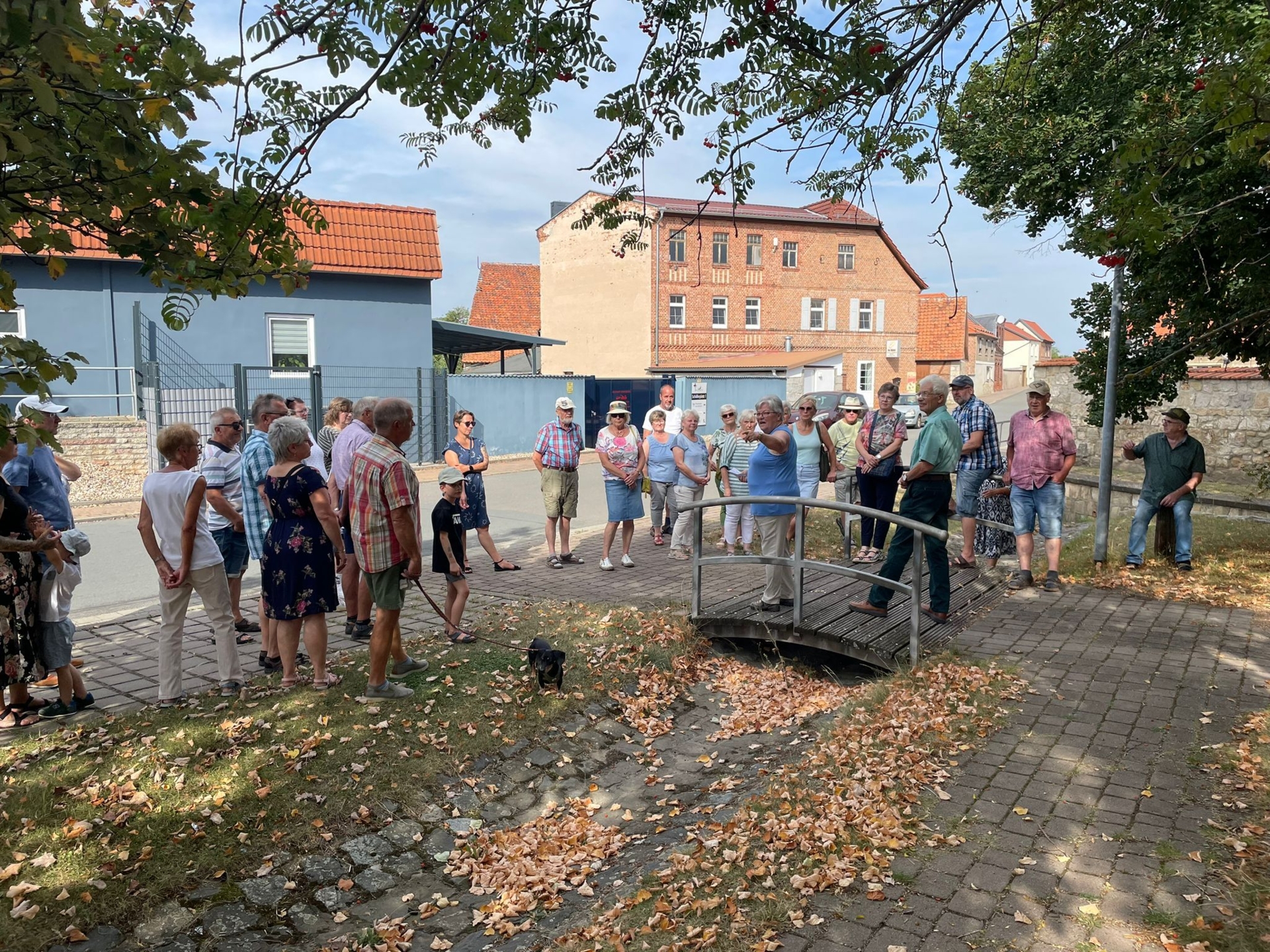 Bild der Galerie