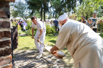 Foto des Albums: 27. Backofenfest im Museumsgarten am Tag des offenen Denkmals