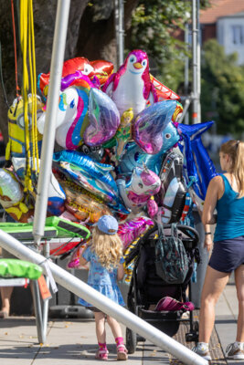 Foto des Albums: Stadtfest Falkensee - Bilder vom Familientag