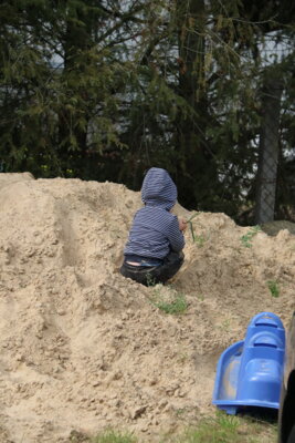Foto des Albums: Springturnier 2024