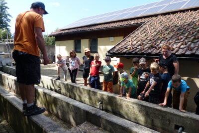 Foto des Albums: Sommerferienprogramm 2024