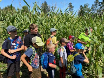 Foto des Albums: Sommerferienprogramm 2024
