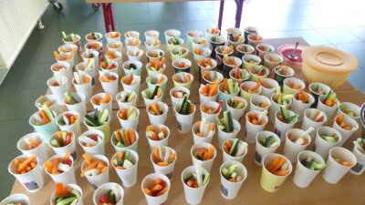 Foto des Albums: Projektwoche 2024 der Regionalen Schule