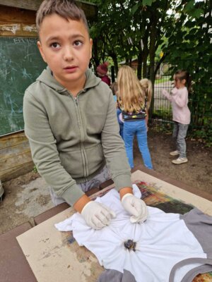 Foto des Albums: Projektwoche