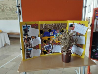 Foto des Albums: Projektwoche
