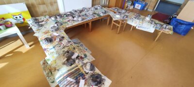 Foto des Albums: Projektwoche