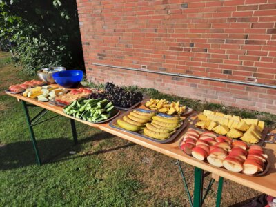 Foto des Albums: Moorsportfest