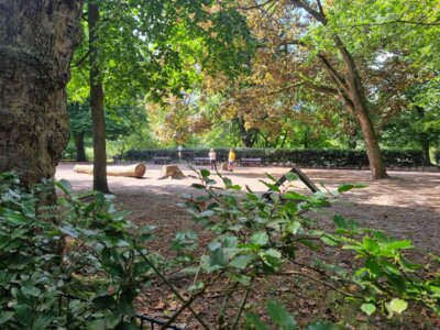 Foto des Albums: Schrevenpark und Schützenpark Kiel