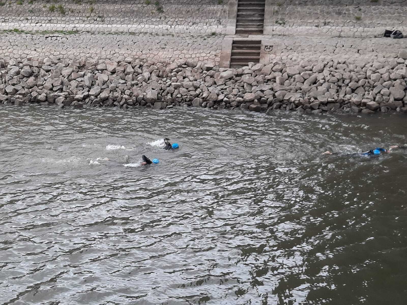 Bild: SchwimmenKöln