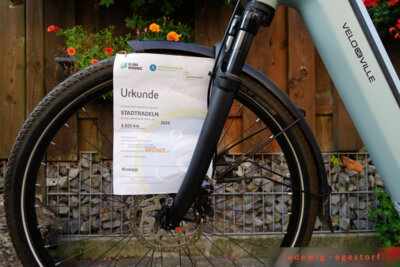 Urkunde Stadtradeln  (Bild vergr&ouml;&szlig;ern)