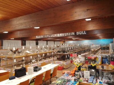 Foto des Albums: Lokalschau 2022