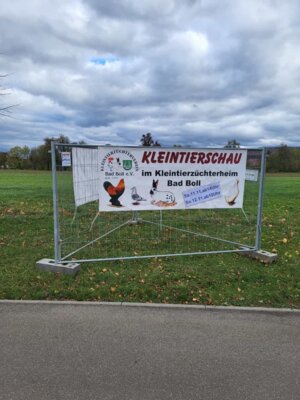 Foto des Albums: Lokalschau 2023