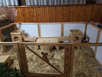 Foto des Albums: Lokalschau 2023