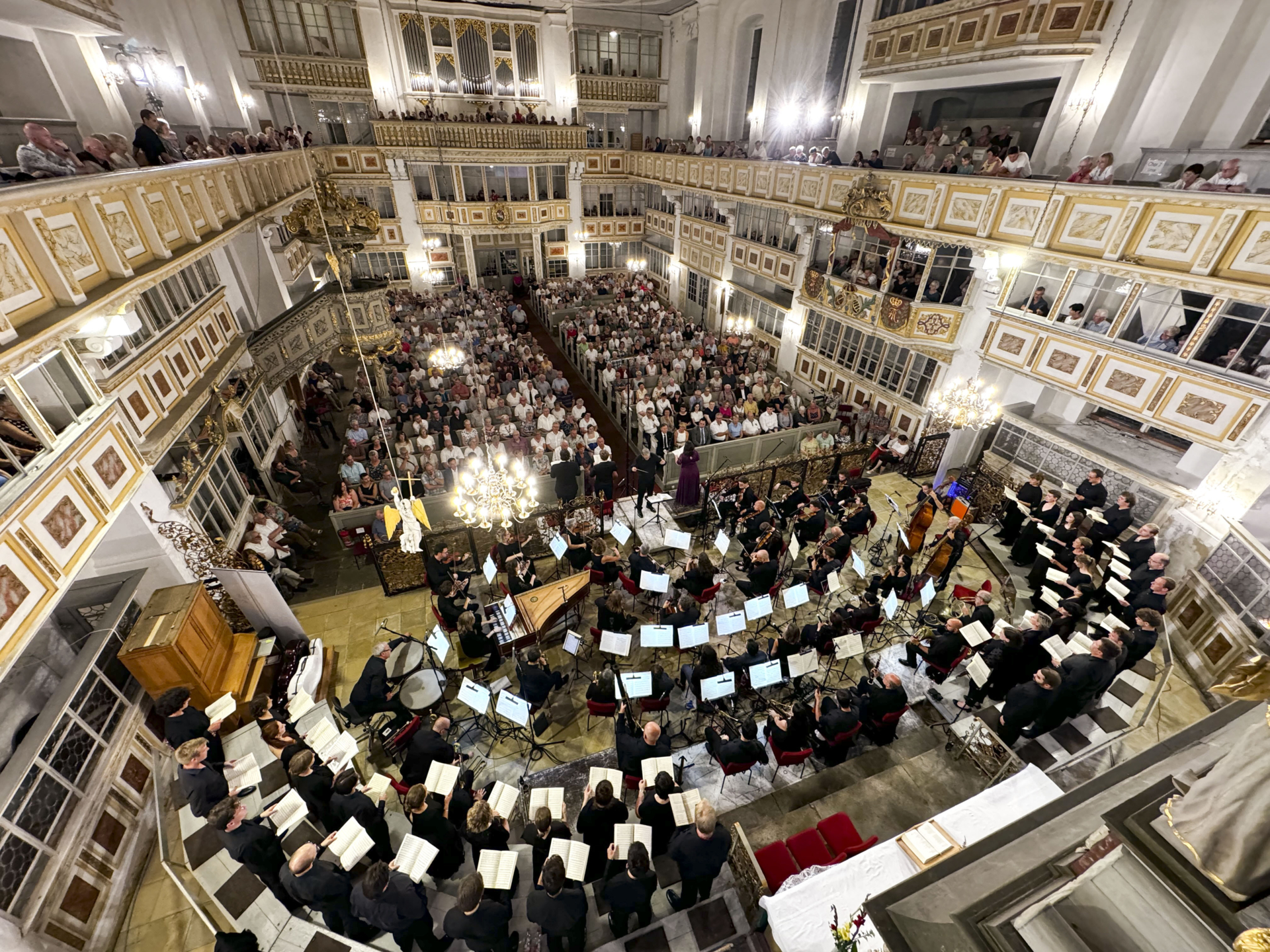 Bild der Galerie