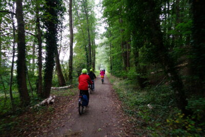 Ab durch den Wald  (Bild vergr&ouml;&szlig;ern)