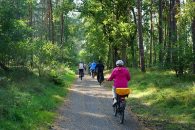 Durch die Gifhorner Heide  (Bild vergr&ouml;&szlig;ern)