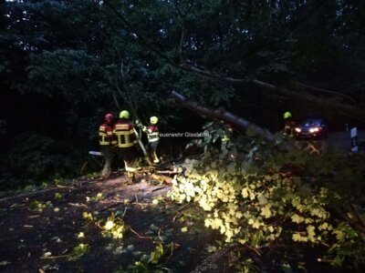Fotoalbum Einsatz - Baum über Straße