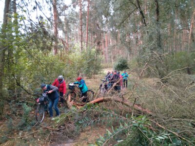 Foto des Albums: Volksradeln 2024