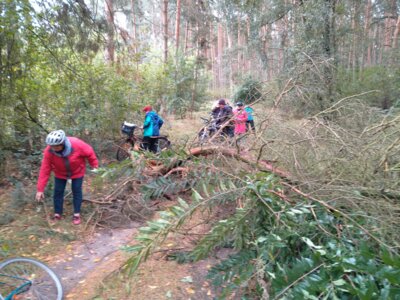 Foto des Albums: Volksradeln 2024
