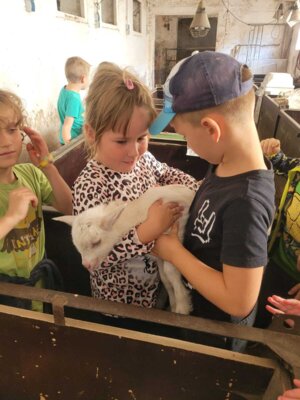 Foto des Albums: Wandertag Kl.1 nach Gimmel mit Schatzsuche(Ziegenstall)
