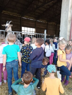 Foto des Albums: Wandertag Kl.1 nach Gimmel mit Schatzsuche(Ziegenstall)