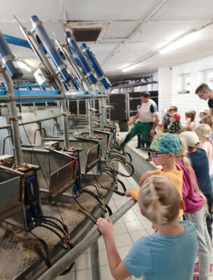Foto des Albums: Wandertag Kl.1 nach Gimmel mit Schatzsuche(Ziegenstall)