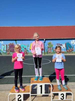 Foto des Albums: Crosslauf 2024
