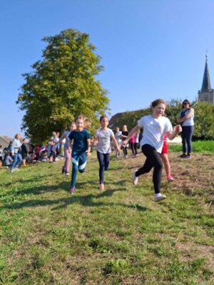 Foto des Albums: Crosslauf 2024