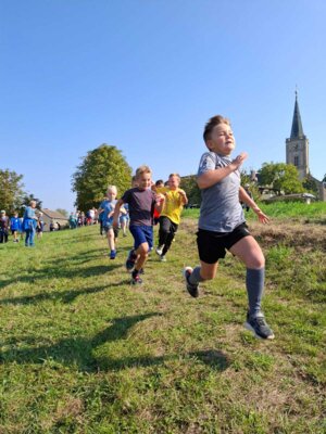 Foto des Albums: Crosslauf 2024