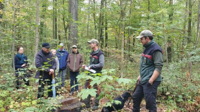 Foto des Albums: Exkursion 2024 Forstrevier Naunhof Sachsen