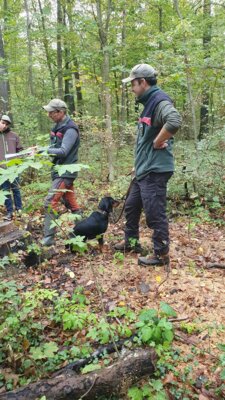 Foto des Albums: Exkursion 2024 Forstrevier Naunhof Sachsen