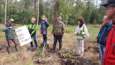 Foto des Albums: Exkursion 2024 Forstrevier Naunhof Sachsen