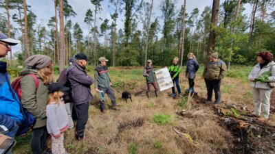 Foto des Albums: Exkursion 2024 Forstrevier Naunhof Sachsen