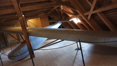 Foto des Albums: Exkursion 2024 Forstrevier Naunhof Sachsen