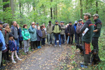 Foto des Albums: Exkursion 2024 Forstrevier Naunhof Sachsen