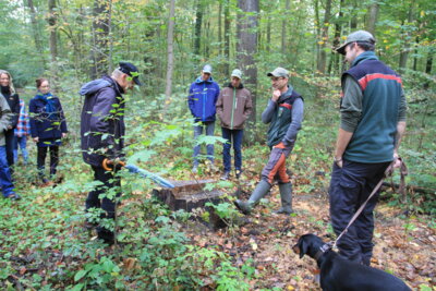 Foto des Albums: Exkursion 2024 Forstrevier Naunhof Sachsen