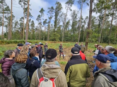 Foto des Albums: Exkursion 2024 Forstrevier Naunhof Sachsen