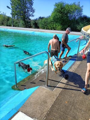 Fotoalbum Hundebaden 2024