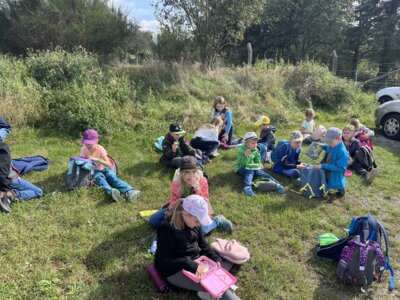 Foto des Albums: Besuch in der Stadtbibliothek, Klasse 2