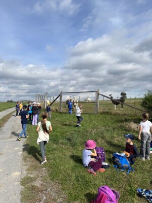 Foto des Albums: Besuch in der Stadtbibliothek, Klasse 2