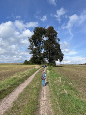 Foto des Albums: Besuch in der Stadtbibliothek, Klasse 2
