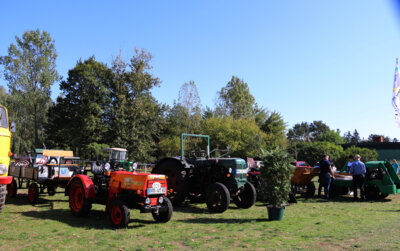 Foto des Albums: Oldtimertreffen 2024