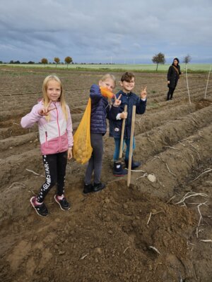 Foto des Albums: 2024 Frau Kar, Herr Toffel und die Klasse 3a