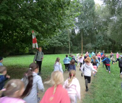 Foto des Albums: Crosslauf