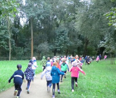 Foto des Albums: Crosslauf