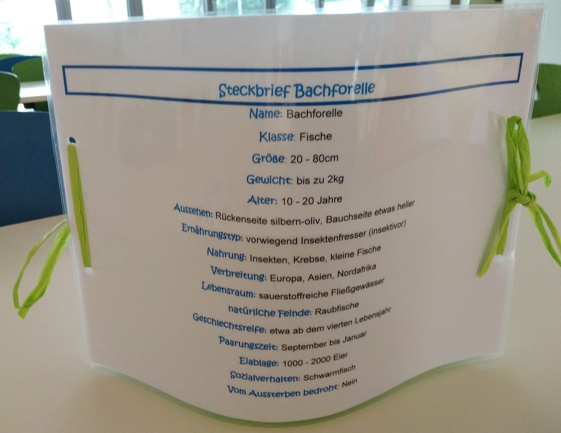 Bild der Galerie